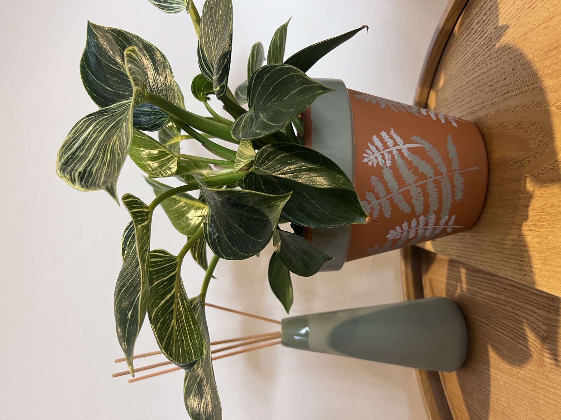 A hand-decorated terracotta plant pot beside a leafy houseplant